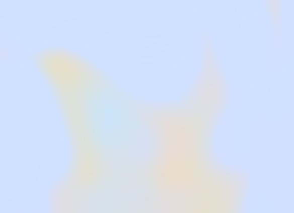 TEST ONLY